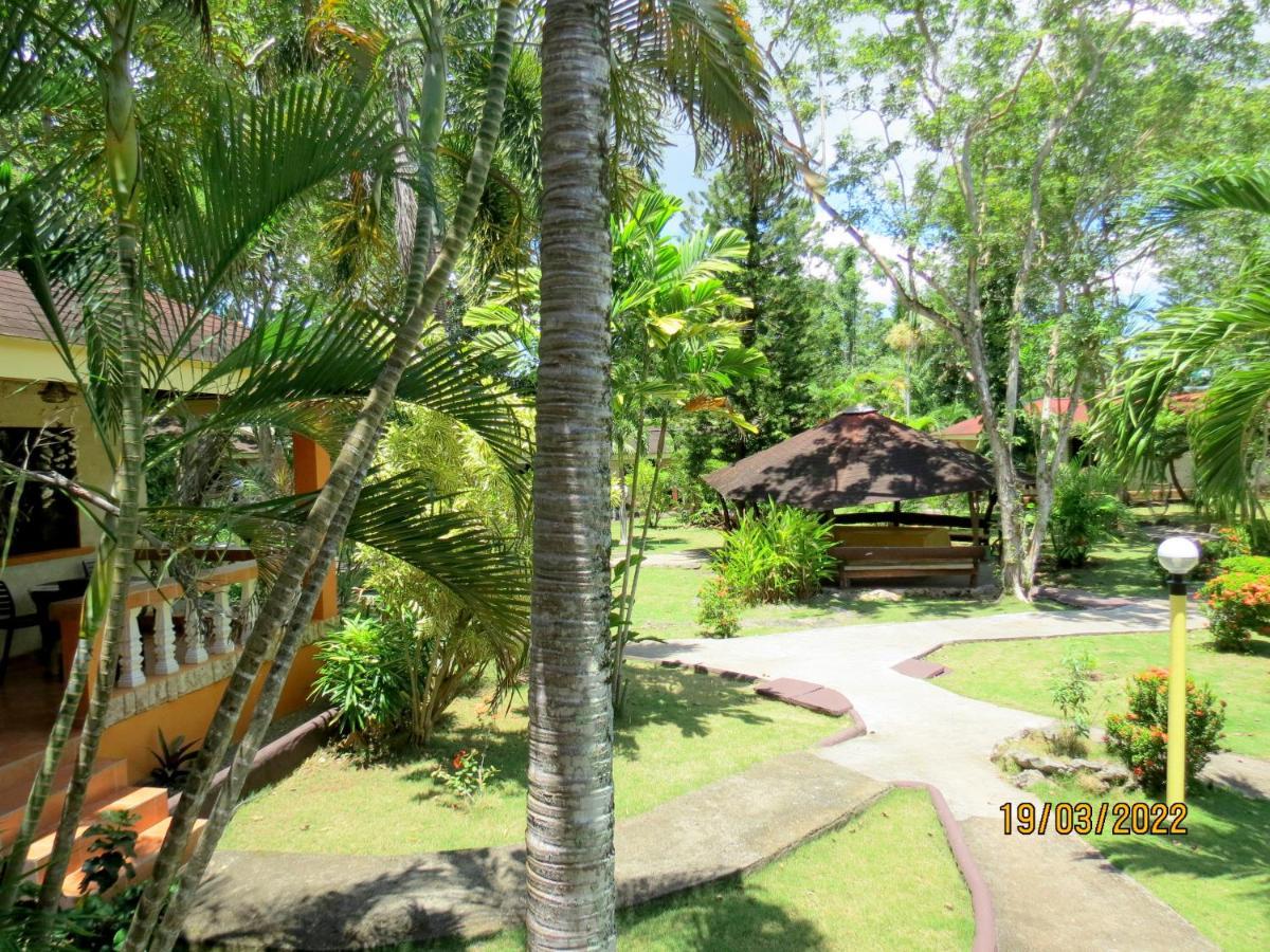 Alonaland Resort Panglao Exterior foto